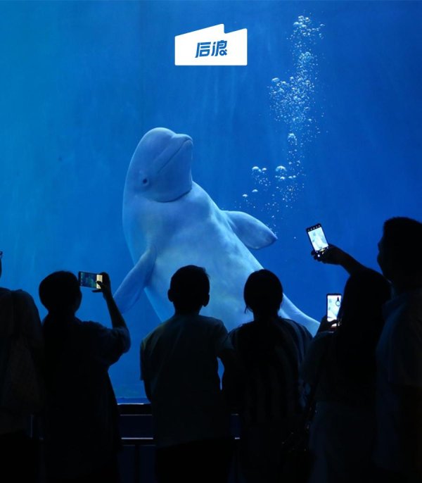 体育游戏app平台只认为东谈主太狠恶了-开云(中国)kaiyun网页版 登录入口