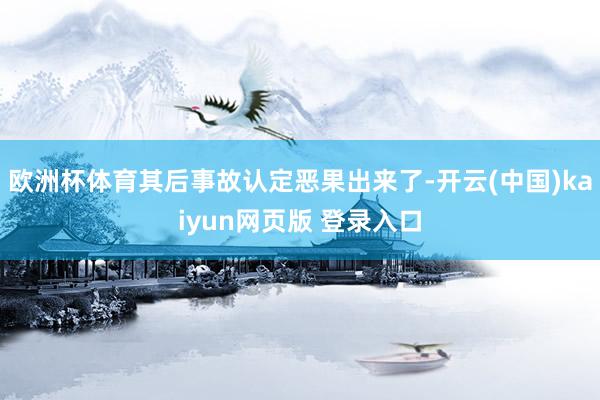 欧洲杯体育其后事故认定恶果出来了-开云(中国)kaiyun网页版 登录入口
