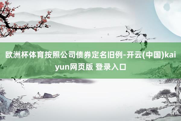 欧洲杯体育按照公司债券定名旧例-开云(中国)kaiyun网页版 登录入口