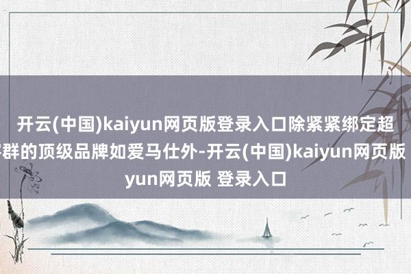 开云(中国)kaiyun网页版登录入口除紧紧绑定超高净值客群的顶级品牌如爱马仕外-开云(中国)kaiyun网页版 登录入口